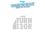 Forge Carbon Airbox Intake Golf 7 GTI / Golf 8 R / S3 8V / Leon 3 Cupra / S3 8Y 2.0 TFSI