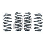 Racingline -25mm Sport Springs UP GTI