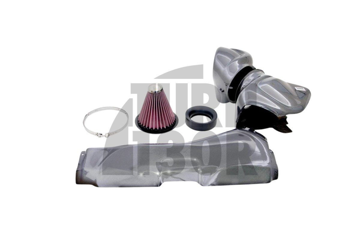 Gruppe M Carbon Fiber Intake System for Audi TT RS 8S