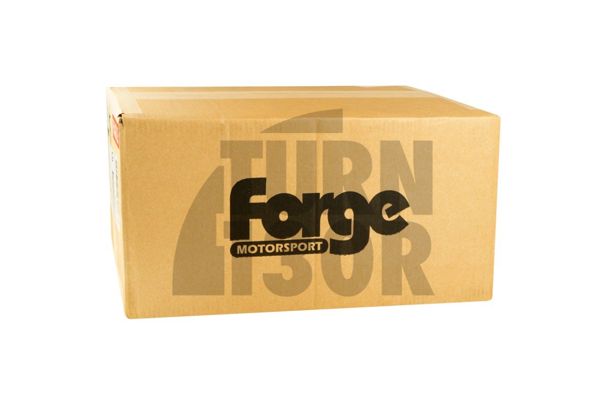 Forge Carbon Induction Intake Fiat 500 / 595 Abarth