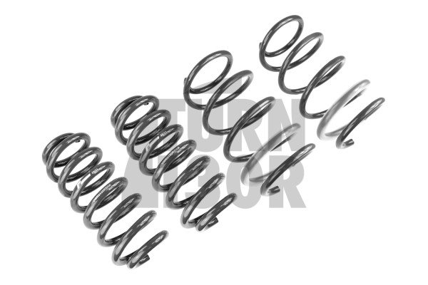 Racingline Sport Springs Audi S3 / RS3 8V / RS3 8Y 