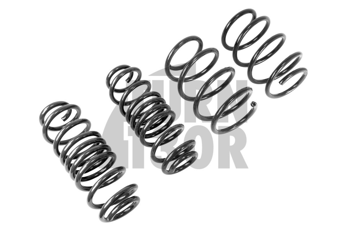 Racingline Sport Springs Golf 7 GTI / Leon 3 Cupra / Octavia 5E