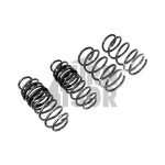 Racingline -30mm Sport Springs Polo AW GTI