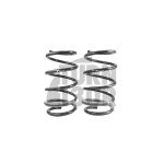 Racingline -30mm Sport Springs Polo AW GTI