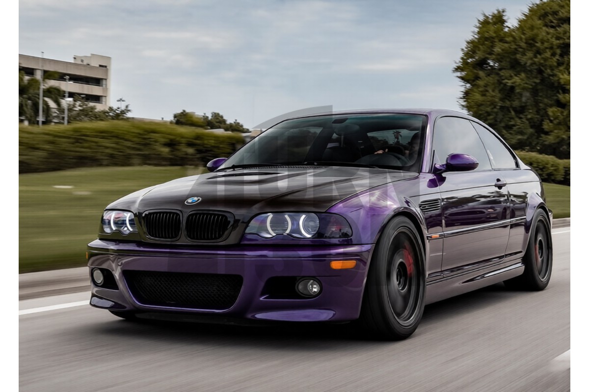 Seibon OEM Carbon Fiber Hood for BMW M3 E46